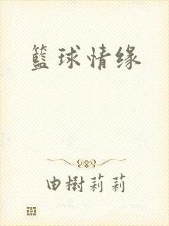 篮球情缘