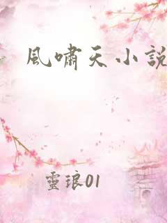 风啸天小说