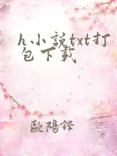 h小说txt打包下载