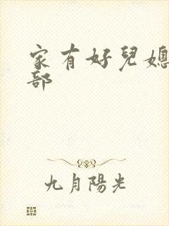 家有好儿媳第二部