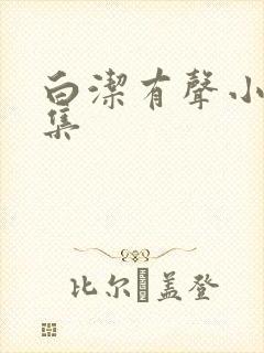 白洁有声小说全集