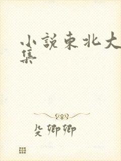 小说东北大炕全集