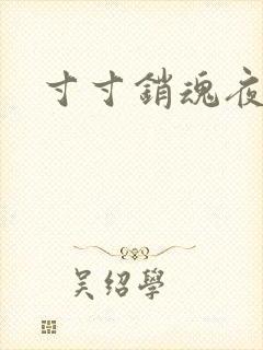 寸寸销魂夜春光