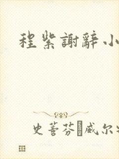 程紫谢辞小说