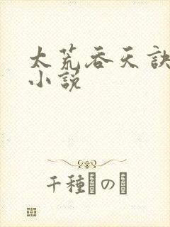 太荒吞天诀免费小说