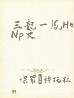 三龙一凤H啪肉Np文