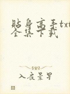 贴身高手txt全集下载