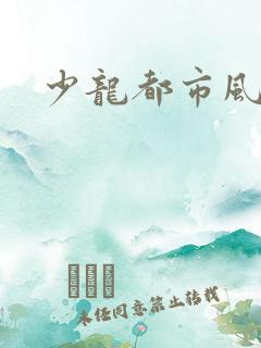 少龙都市风流行
