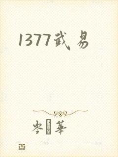1377武易