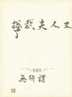 总裁夫人又征婚了