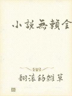 小说无赖金仙