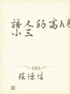 诱人的高h骚当小三