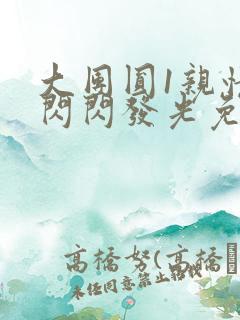 大团圆1亲情会闪闪发光免费