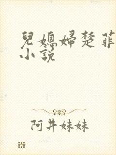 儿媳妇楚菲菲的小说