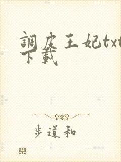 调皮王妃txt下载