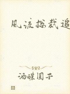 风流总裁追妻记