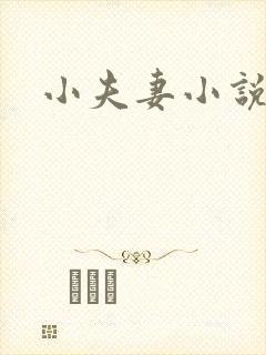 小夫妻小说