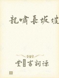 龙啸长坂坡