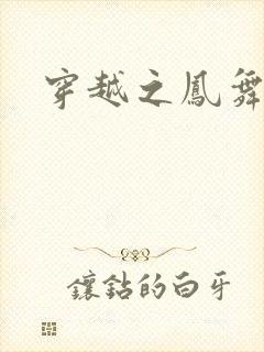 穿越之凤舞天下