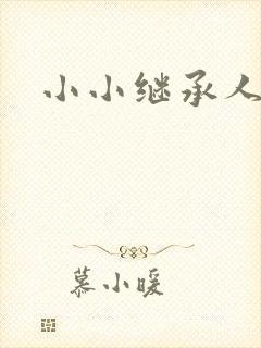 小小继承人