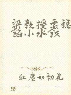 梁教授要稳住肉馅小水饺