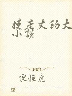 摸老丈的大牛子小说