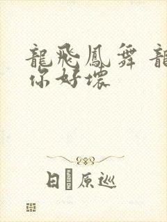 龙飞凤舞 龙王你好坏