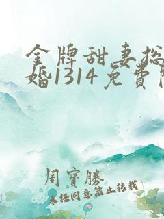 金牌甜妻总裁宠婚1314免费阅读