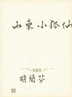 山东小狐仙