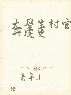 大学生村官艳遇升迁史