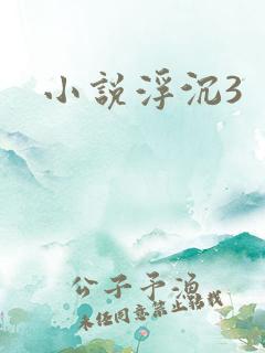 小说浮沉3