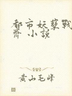 都市妖孽战神林齐 小说