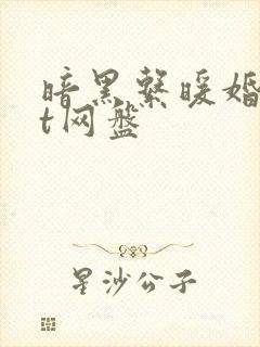 暗黑系暖婚txt网盘