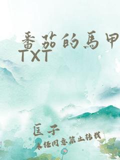 番茄的马甲小说TXT