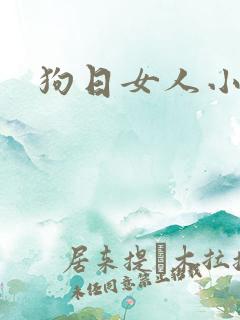 狗日女人小说