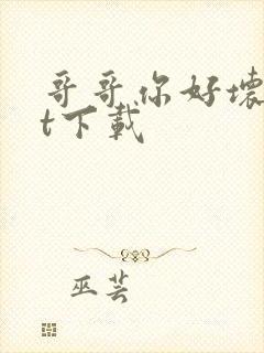 哥哥你好坏txt下载