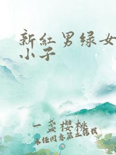 新红男绿女之坏小子