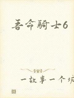 吾命骑士6