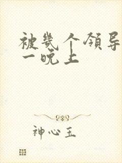 被几个领导玩弄一晚上