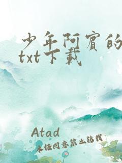 少年阿宾的故事txt下载