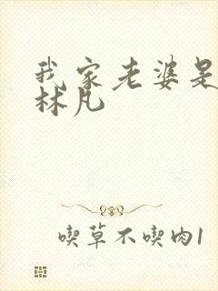 我家老婆是女帝林凡