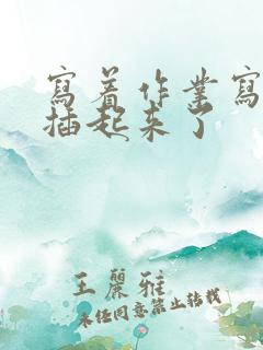 写着作业写着就插起来了