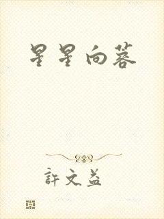 星星向蓉