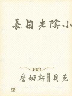 长日光阴小说