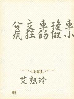 公交车后车座的疯狂的做小