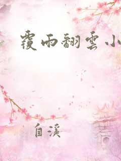 覆雨翻云小说