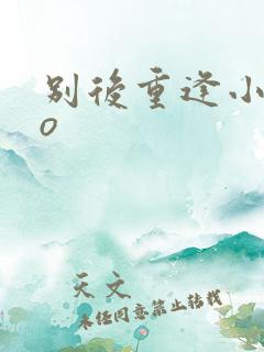 别后重逢小说po