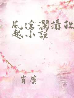 风沧澜摄政王穿越小说