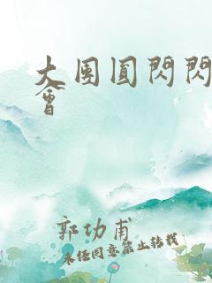 大团圆闪闪相亲会