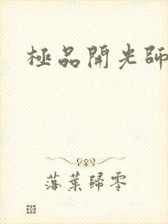 极品开光师